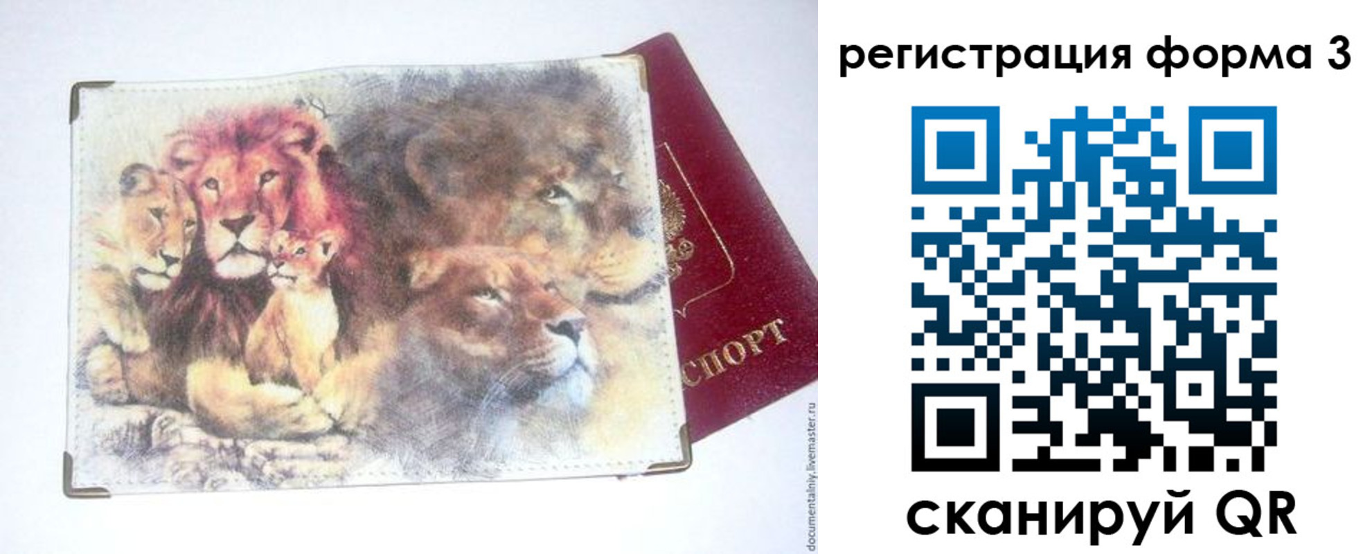 прописка в квартире в Ершове